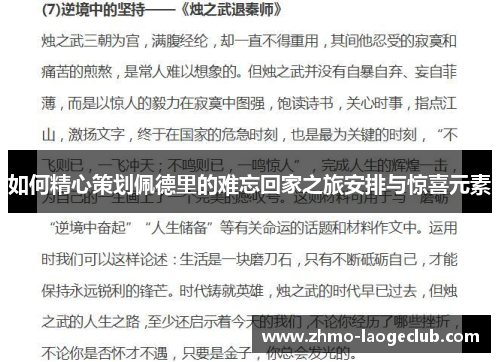 如何精心策划佩德里的难忘回家之旅安排与惊喜元素