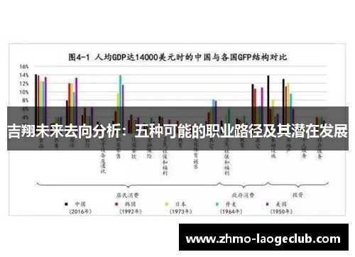 吉翔未来去向分析：五种可能的职业路径及其潜在发展