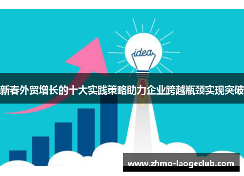 新春外贸增长的十大实践策略助力企业跨越瓶颈实现突破