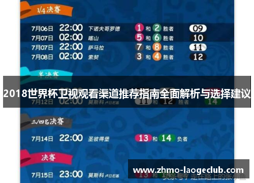 2018世界杯卫视观看渠道推荐指南全面解析与选择建议