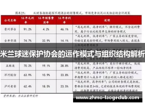 米兰球迷保护协会的运作模式与组织结构解析