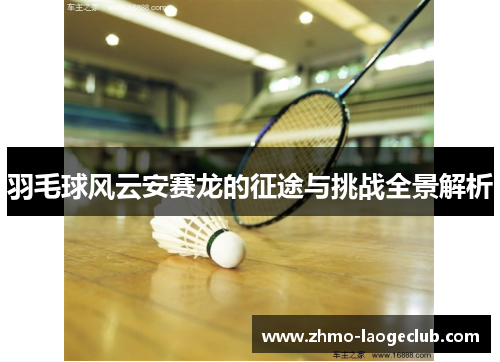 羽毛球风云安赛龙的征途与挑战全景解析