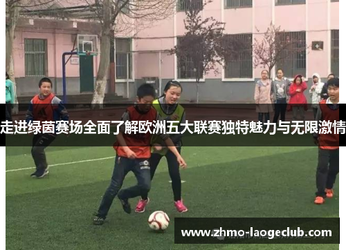 走进绿茵赛场全面了解欧洲五大联赛独特魅力与无限激情
