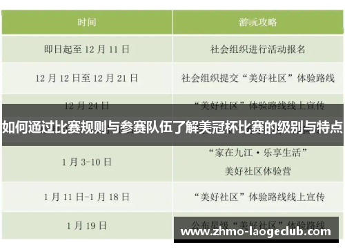 如何通过比赛规则与参赛队伍了解美冠杯比赛的级别与特点