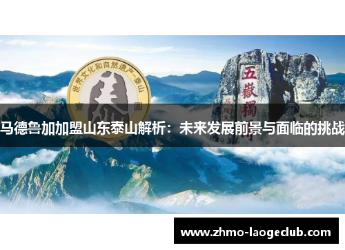 马德鲁加加盟山东泰山解析：未来发展前景与面临的挑战